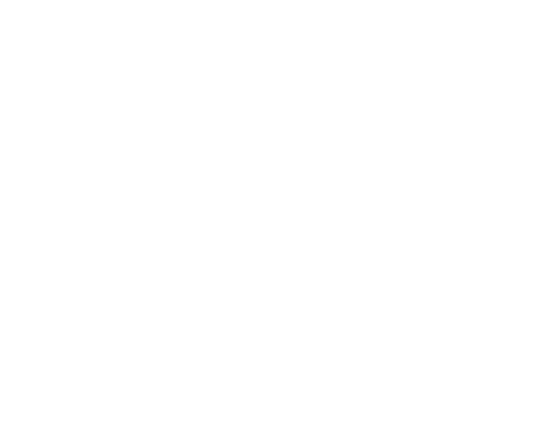 Sketch of a 40-pin mold connector for the Thermonom hot runner controller.